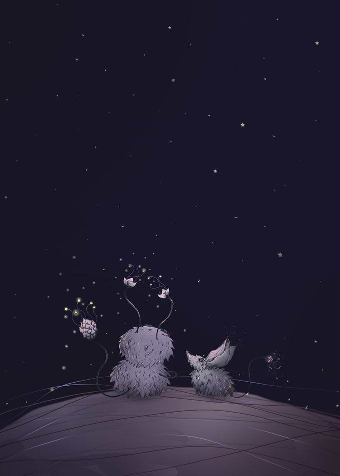 NIGHT SKY