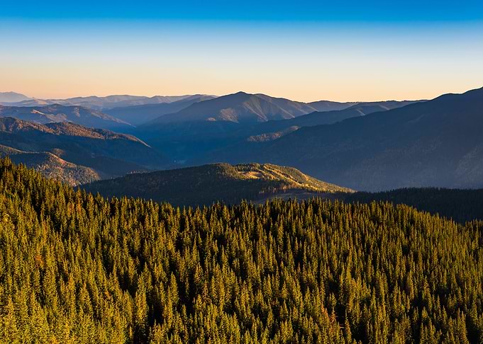 Autumn forest landscape