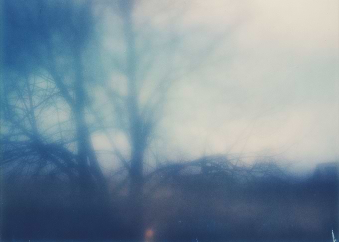 From the window #2