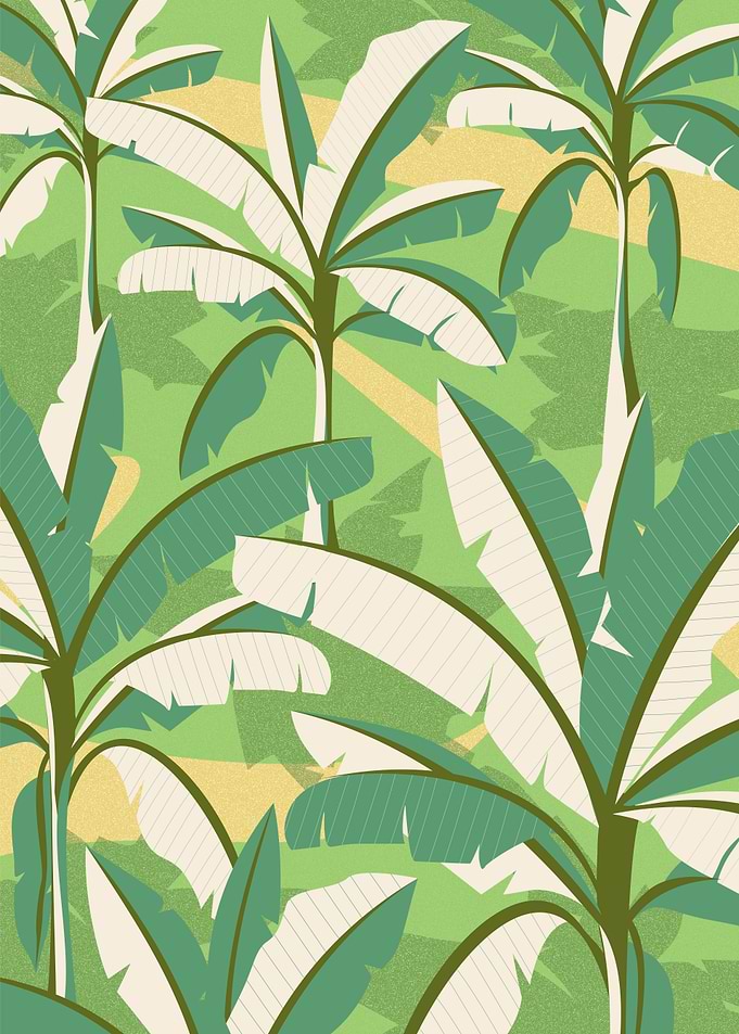Banana trees