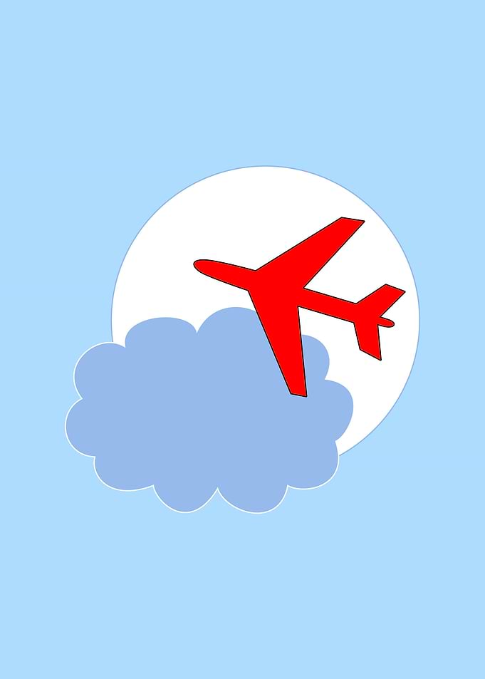 Plane in the flight