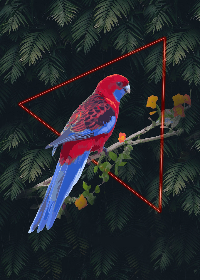 Neon Triangle Parrot