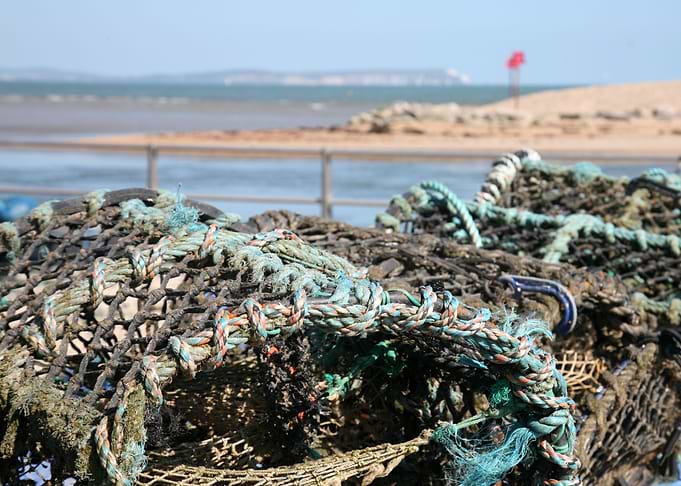 Mudeford Needles