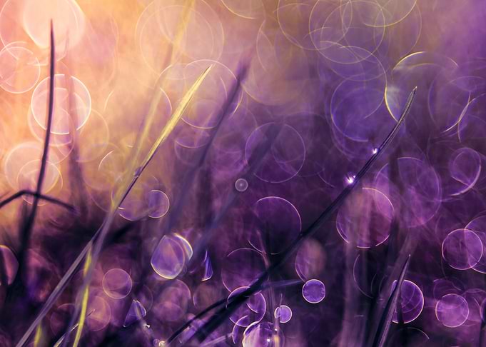 Grass Bubbles