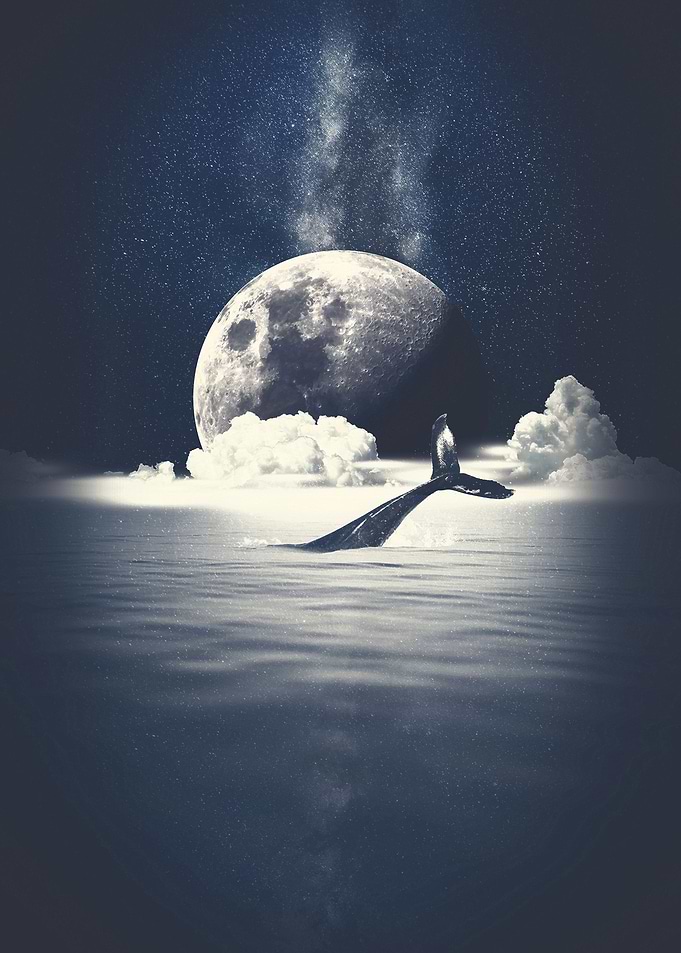 Galaxy Moon Whale