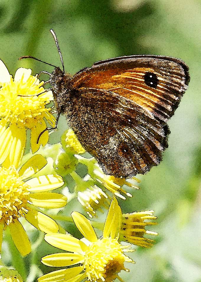 Gatekeeper