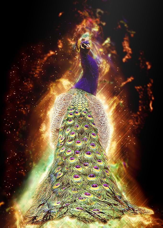 Kawaii Peacock Galaxy