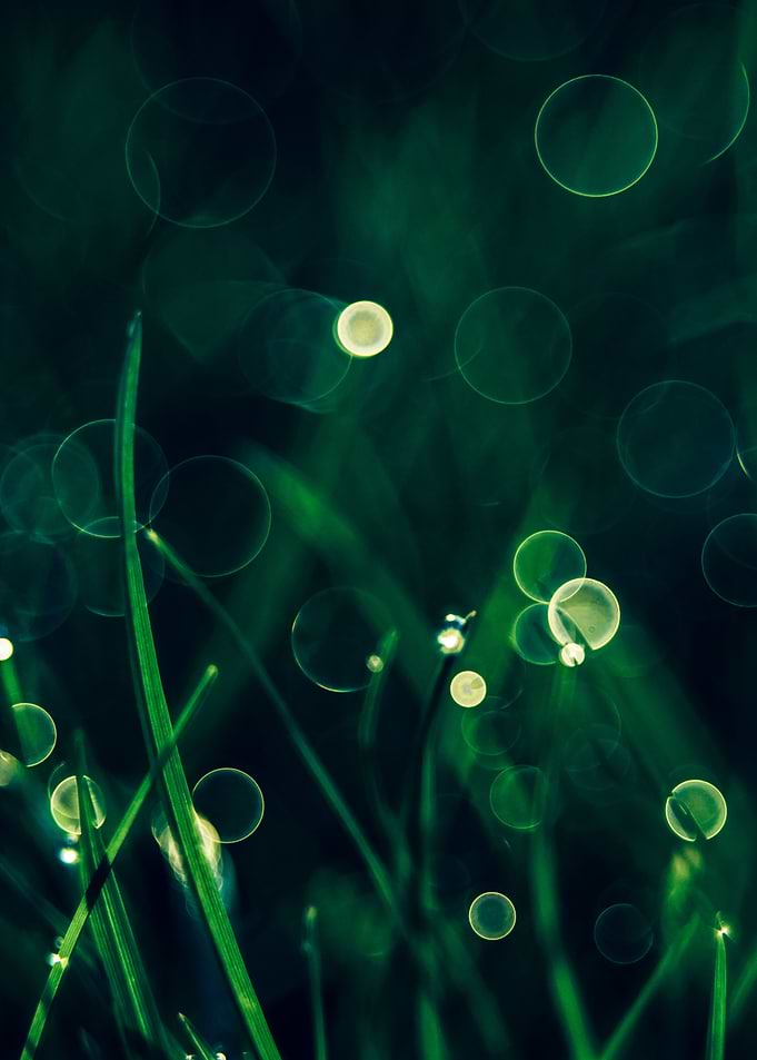 Green Grass