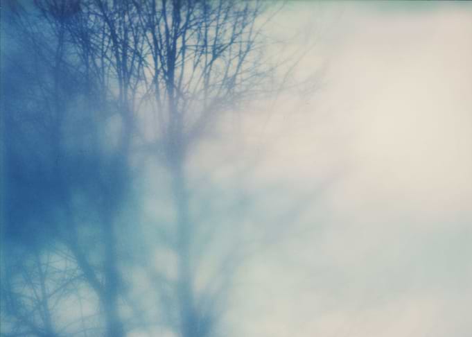 From the window #1