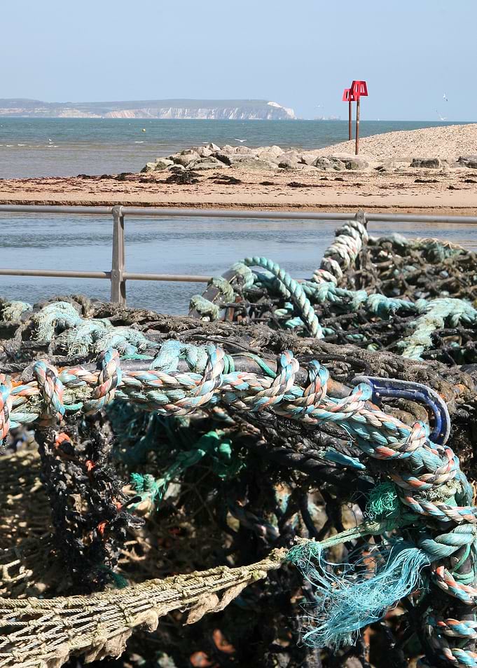 Needles IOW