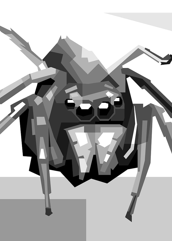 spider mini