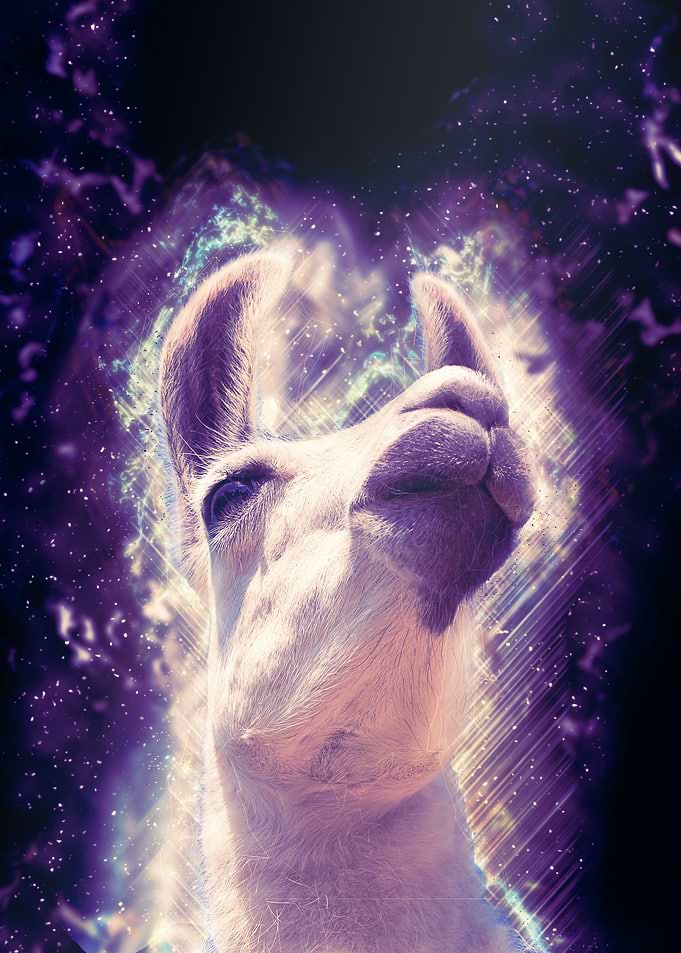 Kawaii Llama Galaxy