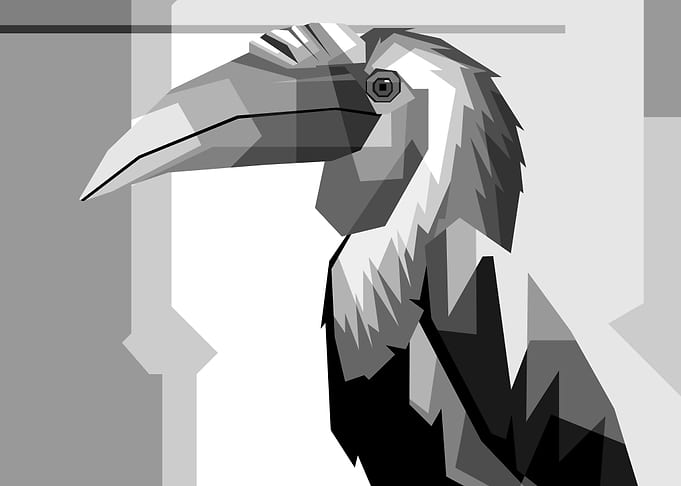 Bird Ouoo