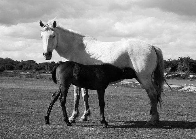 Mum and baby