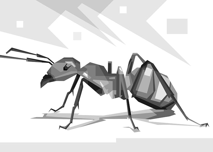 Red Ant