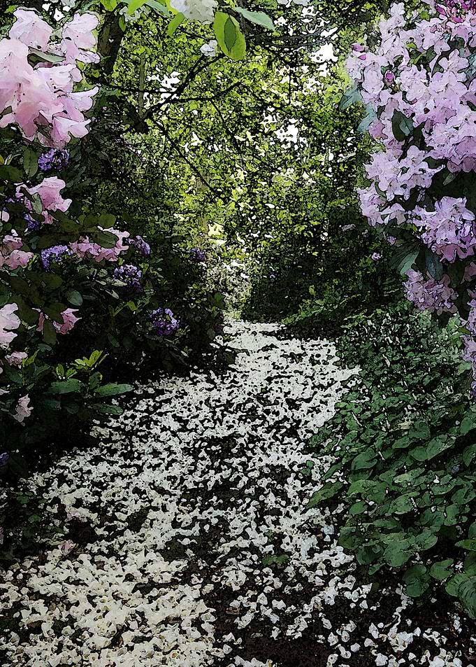 Path