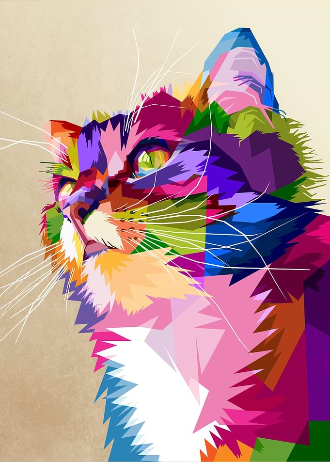 coloful cute cat