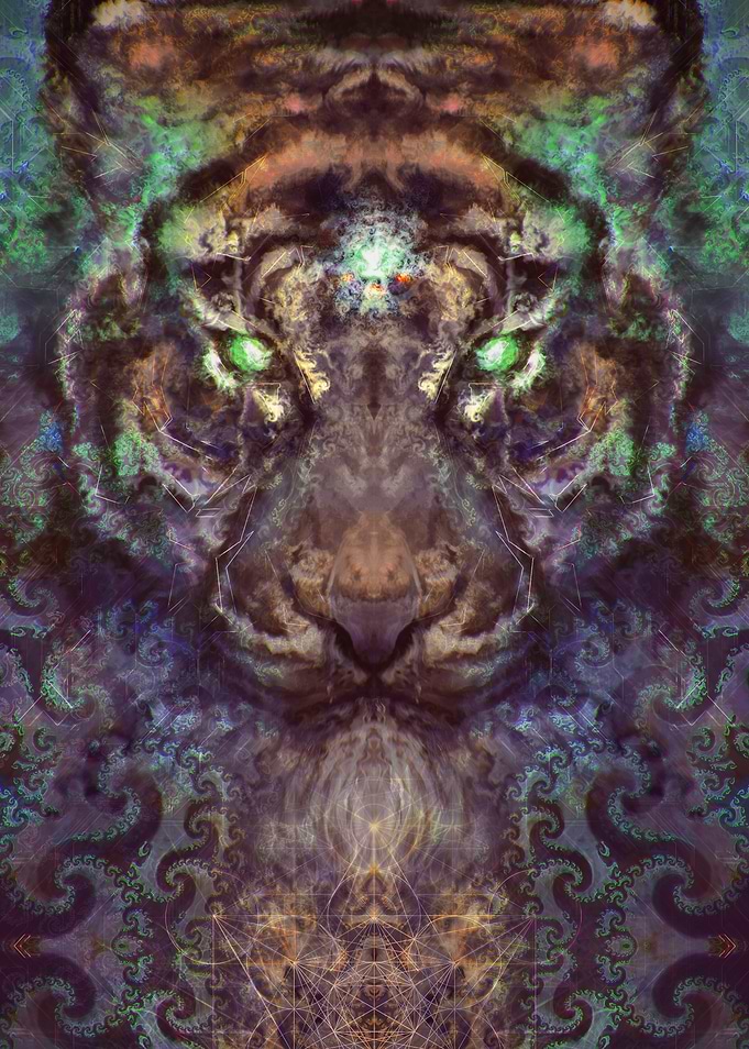 Tiger of Fractal Intuition