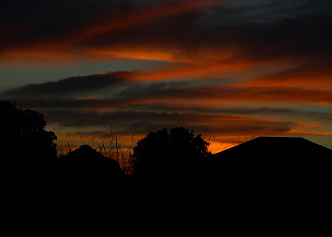Orange Sunset