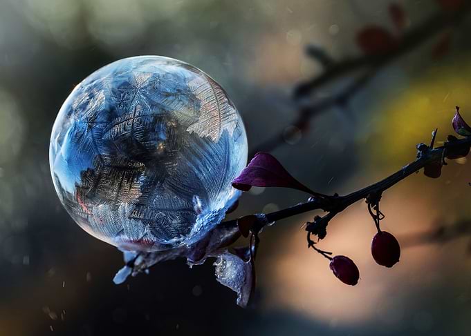 Frozen