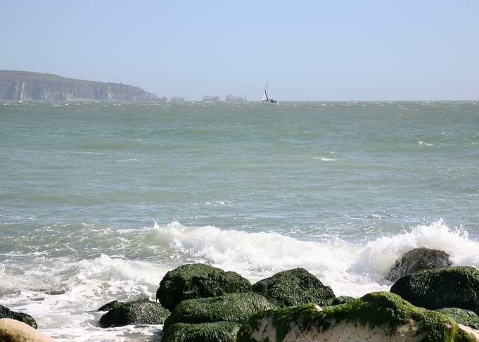 Needles view
