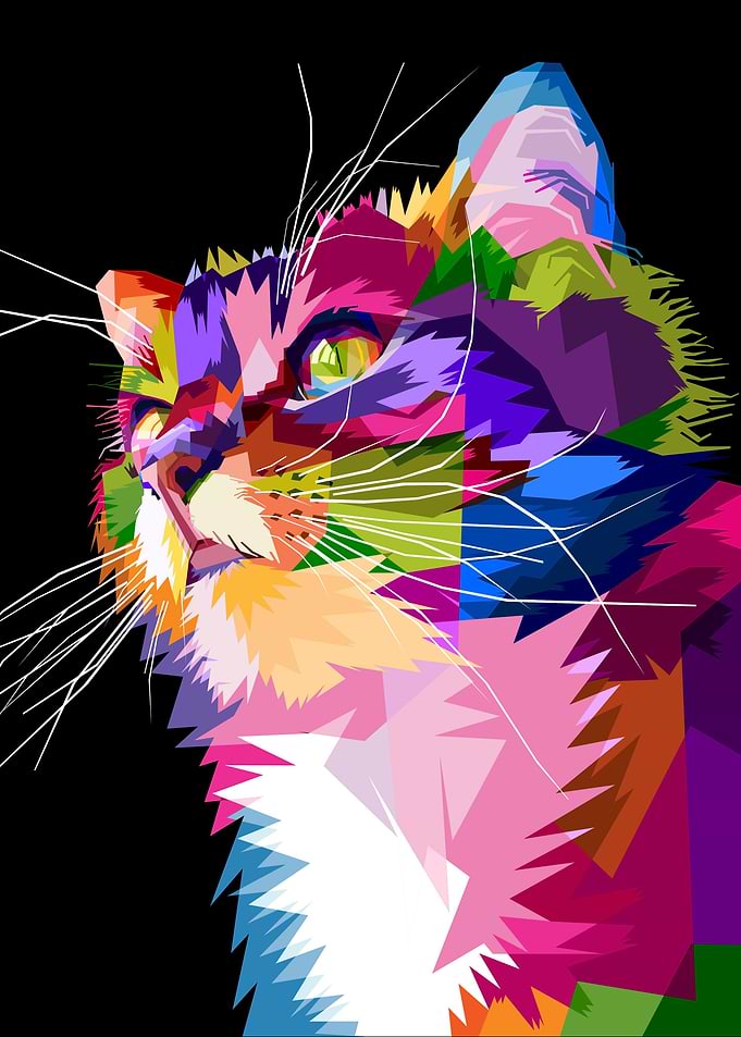 cute cat on pop art