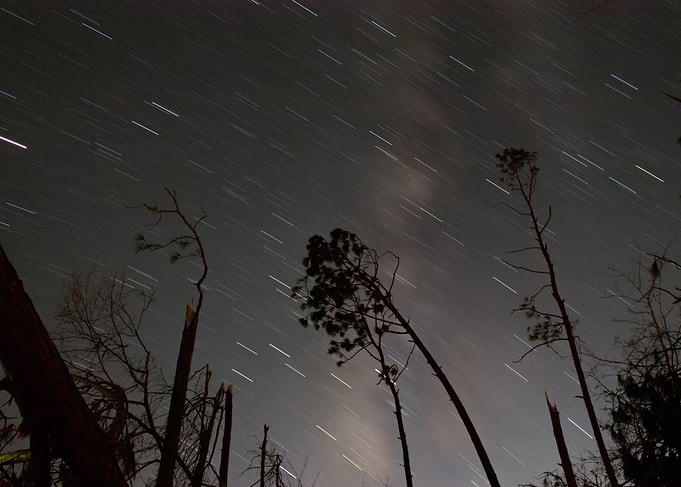 Shattered Trees
