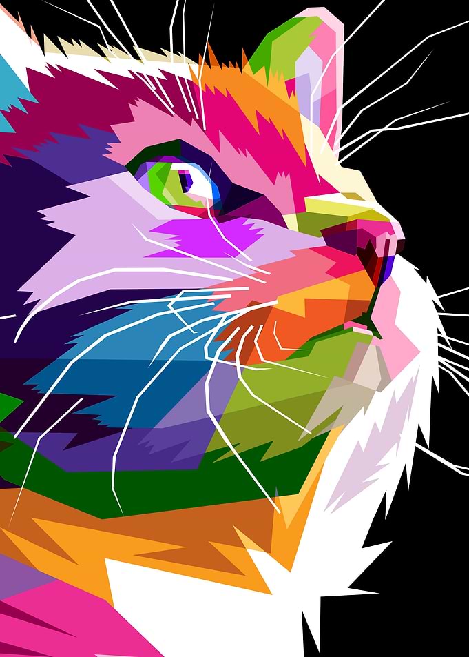 close up of face cat
