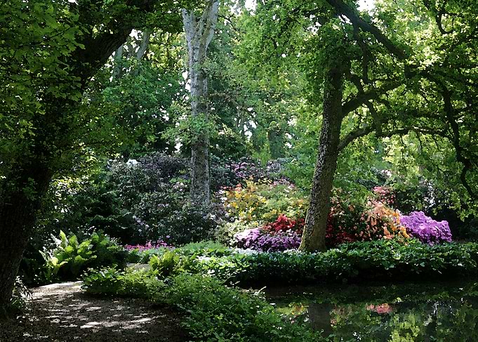 Path and lake