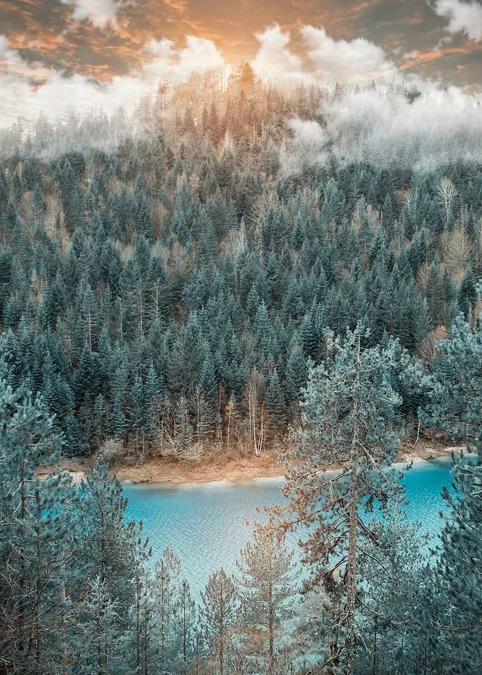 fine art winter landscape