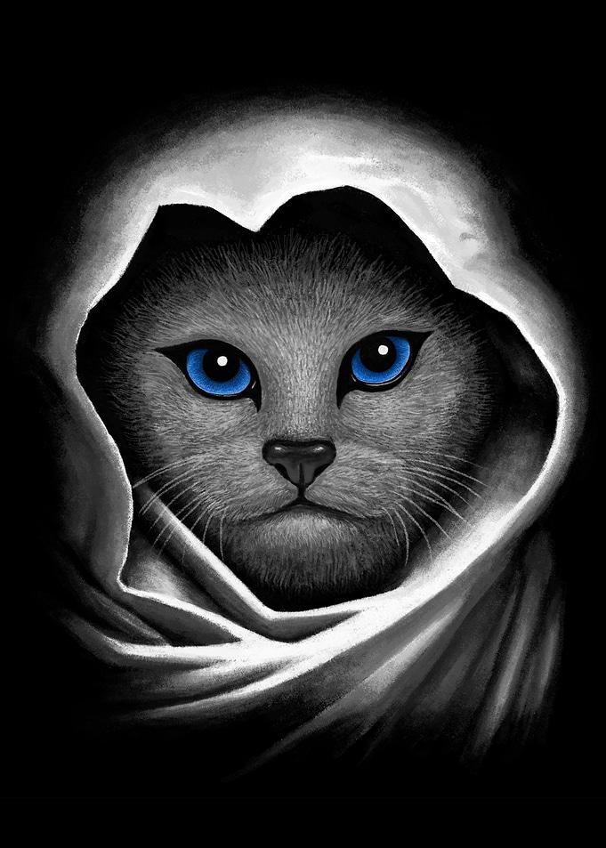 Blue eyes cat