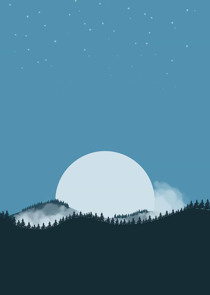 Night forest