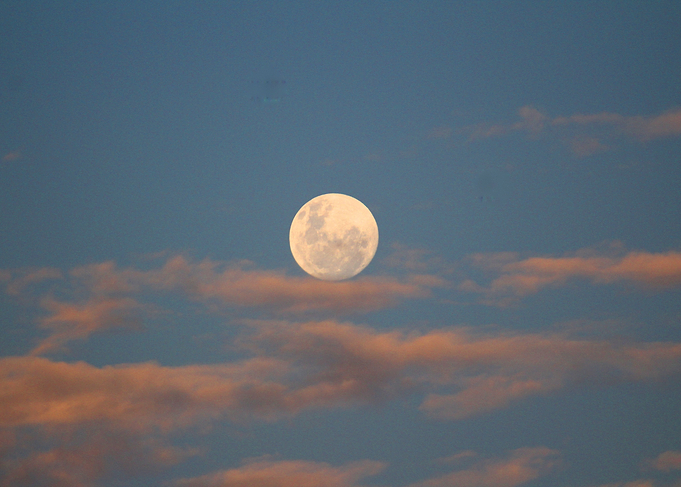 White moon