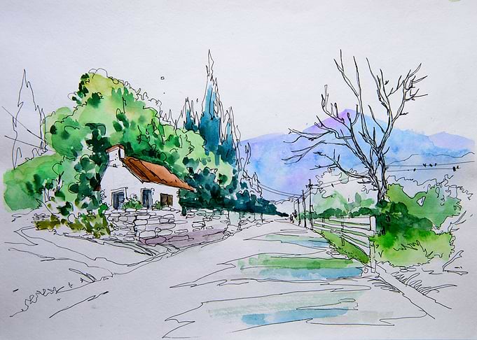Morning Scenery with Road