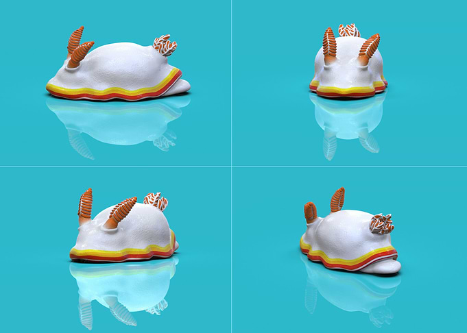 Chromodoris verrieri