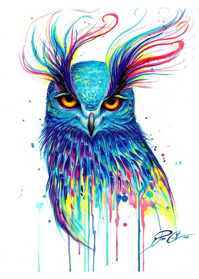 Rainbow owl