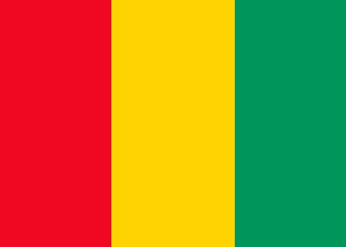 GUINEA flag