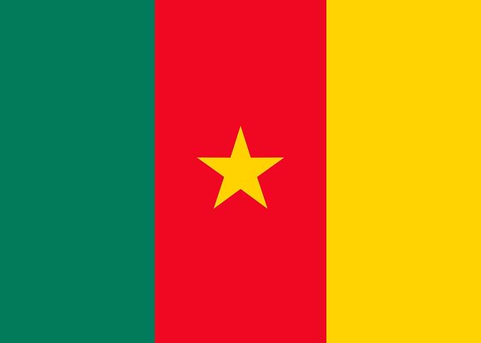 CAMEROON flag