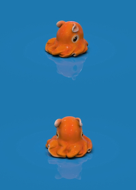 Dumbo octopus
