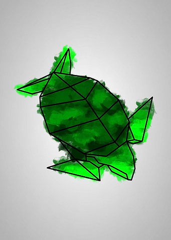 Origami Turtle