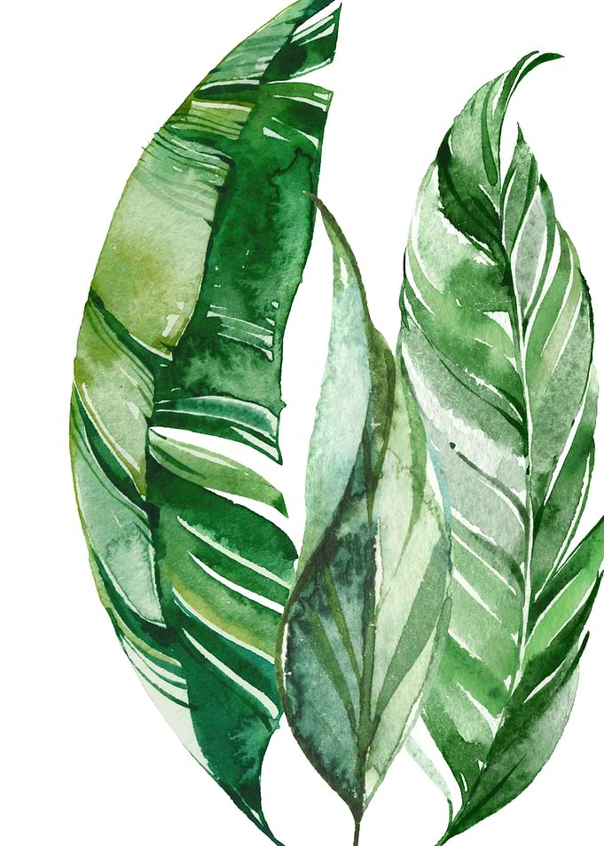 Tropical