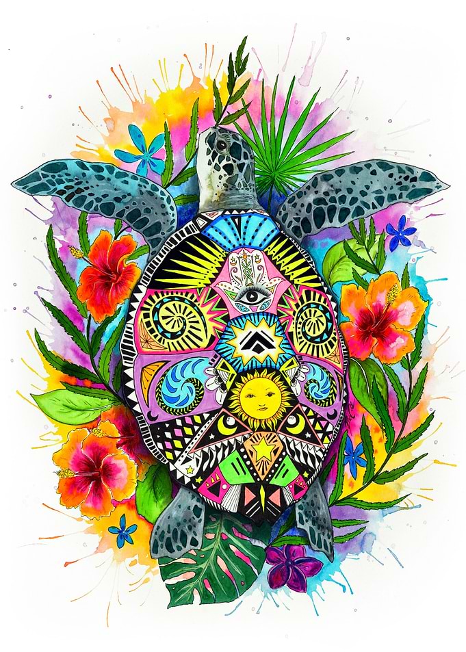 Spiritual turtle