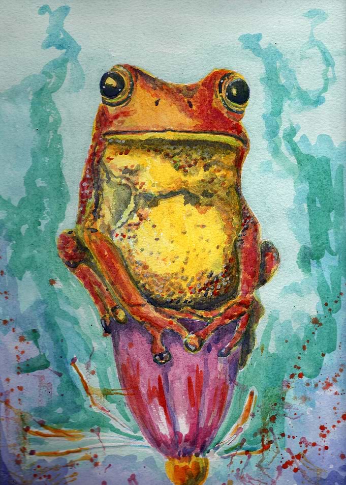 FROG 2