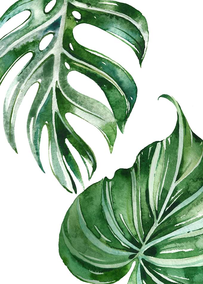 Tropical