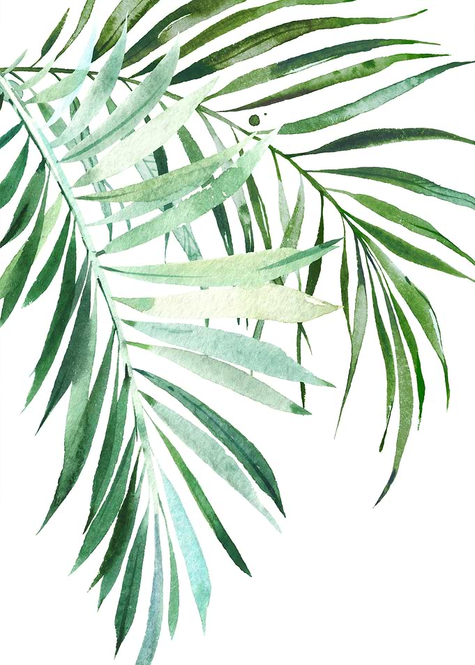 Tropical