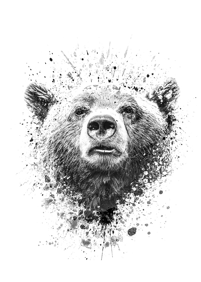 Bear face splatter