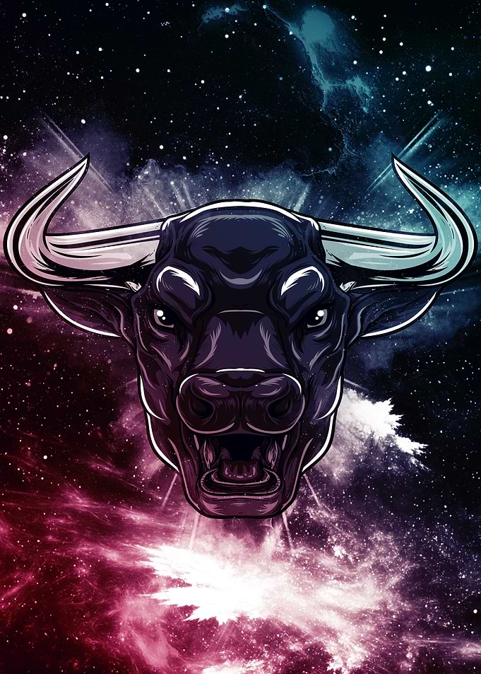 Bull Galaxy