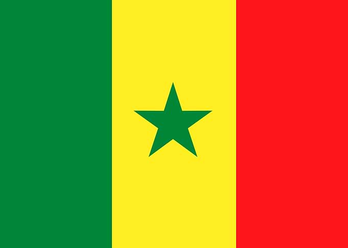 SENEGAL flag