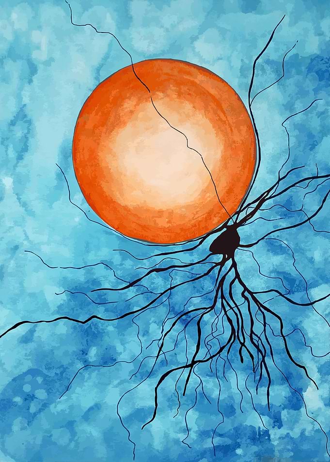 Neuron and Sun