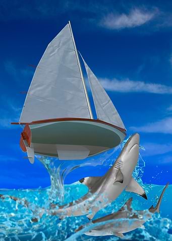 shark attacks